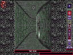Chamber of the Sci-Mutant Priestess screenshot #1