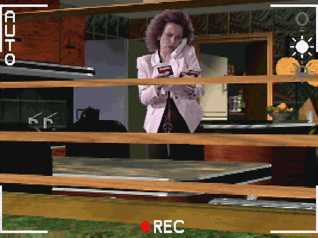 Voyeur (DOS/English)