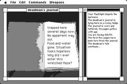 Ray's Maze screenshot #3